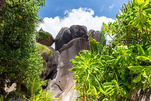 Landscape on the Seychelles island La Digue