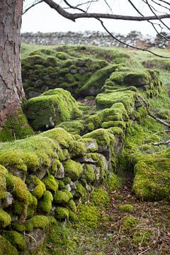 Muurtje in Wicklow National Park, Ierland van Kees van Dun