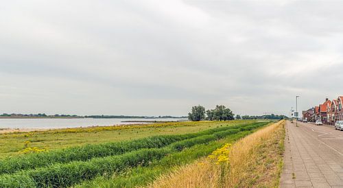 Plaines inondables fluviales néerlandaises en amont de Merwede près de Werkendam