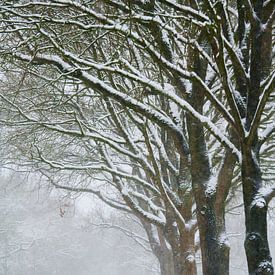 Eenzame fietser in een winters landschap van Jenco van Zalk