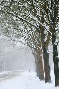 Einsamer Radfahrer in einer Winterlandschaft
