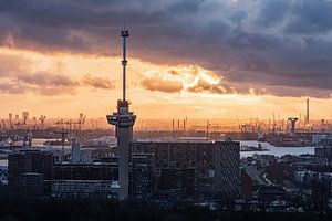 Rotterdam View 8