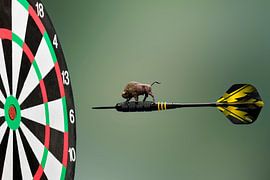 Bulls Eye by Sandra Raangs