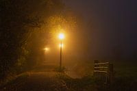 Foggy Evening