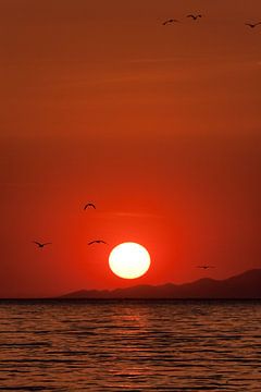 coucher de soleil sur Paul Jespers