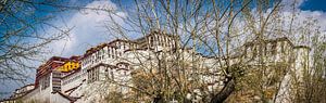 Panorama-Blick auf den Potala-Palast in Lhasa, Tibet