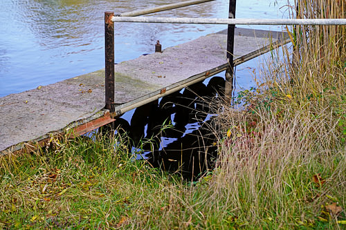 Scheepsaanlegplaats aan de Saale in Halle Saale in Duitsland