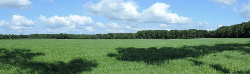 Panorama des Agrarlandes Drenthe von Wim vd Neut