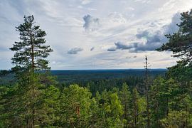 Skurugata in Småland, Schweden. Aussichtspunkt mit Blick über Wälder in Skandinavien.