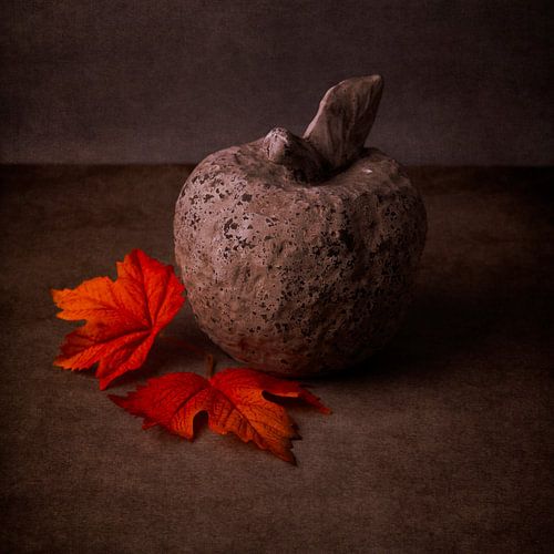 TYest van Nel Wierenga