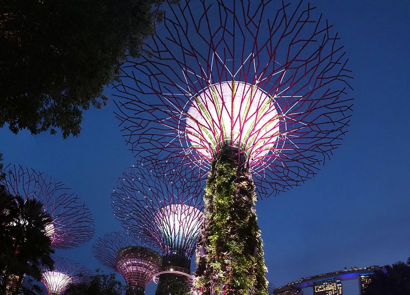 Marina Bay Sands und Supertrees bei Nacht von Atelier Liesjes