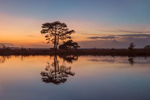 Sonnenuntergang am Wasser im Winter