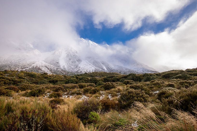 Hooker Valley van Ronne Vinkx