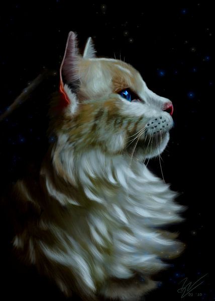 Beautiful cat in the spotlight by W. Vos