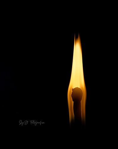 Das Gesicht des Feuers