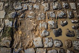 Carrefour de l'Arbre