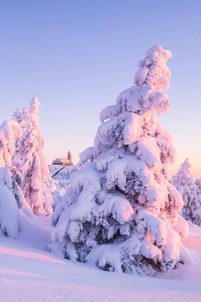 Sunrise on the Fichtelberg II by Daniela Beyer