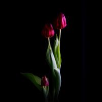 the afterthought #013