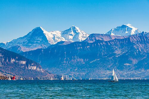Thunersee mit Eiger, Mönch und Jungfrau - Schweiz von Werner Dieterich