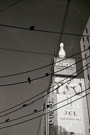 Osaka: vogels op elektriciteitskabels (bladmuziek)