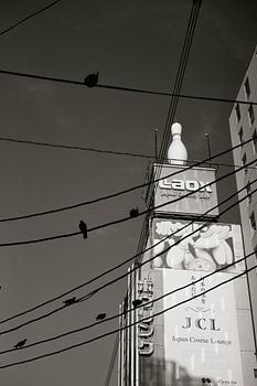 Osaka: vogels op elektriciteitskabels (bladmuziek)