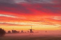 Kinderdijk molens voor zonsopkomst met hoge bewolking