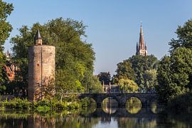 Reflection in the water in Bruges by didier de borle