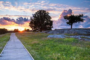 Sonnenuntergang Himmelstalund Norrköping in Schweden von Evert Jan Luchies