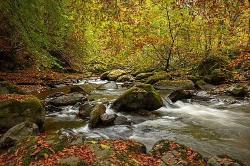 Birks Of Aberfeldy; Moness Burn; Moness; Nr Aberfeldy; Perthshir