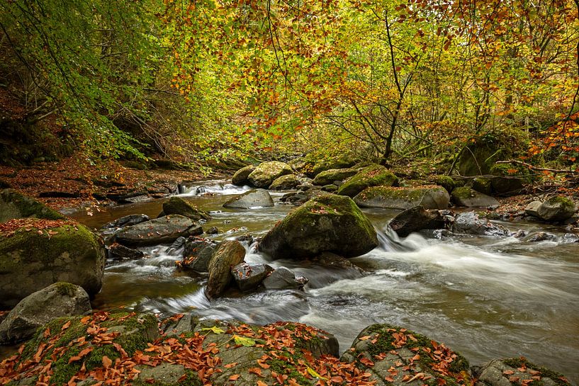 Birks of Aberfeldy; Moness Burn; Moness; Nr Aberfeldy; Perthshir van Arch White