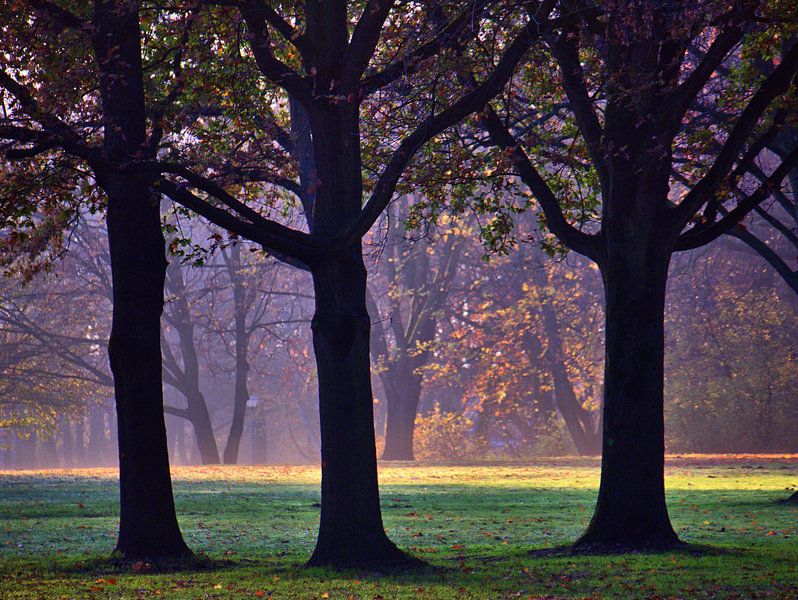 Mistlicht van Edgar Schermaul