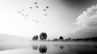 Birds flying by by Lex Schulte thumbnail