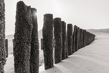 Rayons de soleil se levant sur des brise-lames sur la plage en noir et blanc sur Dana Schoenmaker