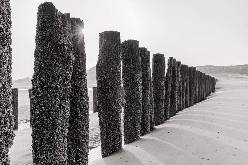 Zonnestralen opkomende zon bij golfbrekers op het strand in zwart-wit van Dana Schoenmaker