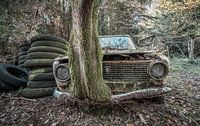 Lost in the woods