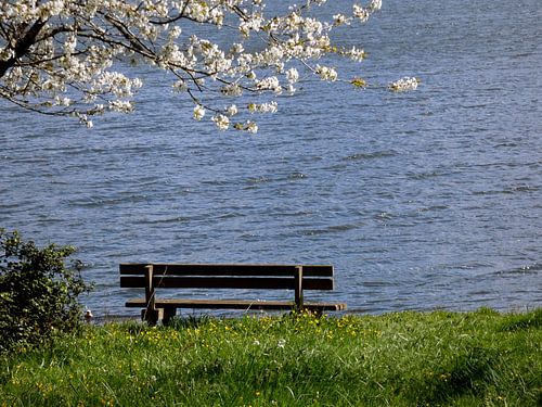 Un banc au bord de l'eau au printemps sur Armand Baptiste