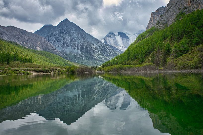 Reflexion im Wasser von Bart Nikkels