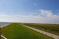 fietstocht texel