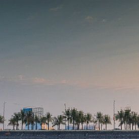 Bäume auf einem Deich in Ha Long von Reinier de Rooie