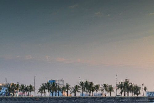 trees on a dike in Ha Long van Reinier de Rooie