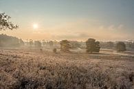 Fine Art Landschap van de zonsopkomst op de heide van John van de Gazelle fotografie thumbnail