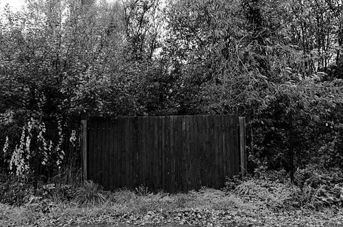 Black gate in the middle of the forest.