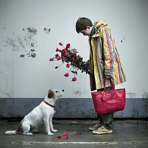 Roses for My Dog