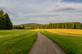 Beautiful landscape at the Thuringian Forest