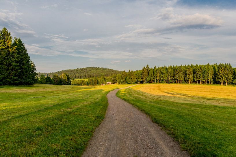 Beautiful landscape at the Thuringian Forest by Oliver Hlavaty
