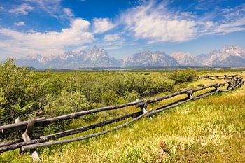 In front of the Grand Tetons