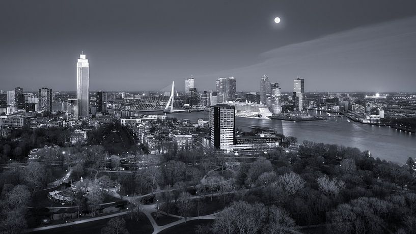 Skyline Rotterdam in de avond van Niels Dam