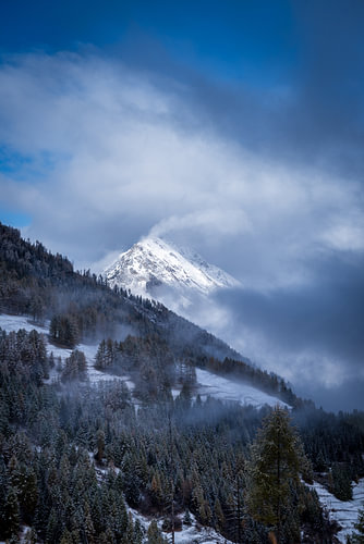 Winters landschap