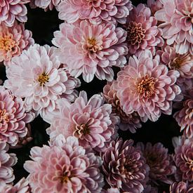 Roze bloemen = lente in huis van Inge van Tilburg