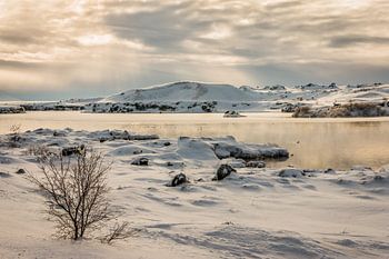 Myvatn - IJsland